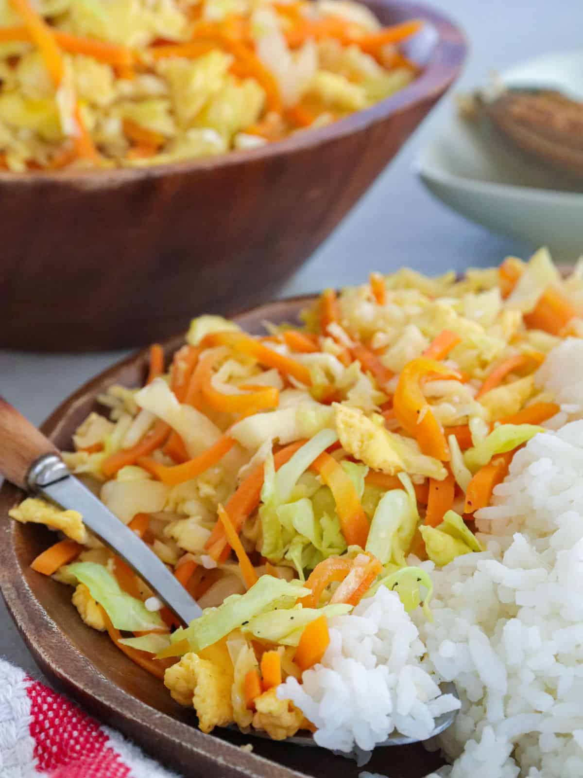 sauteed cabbage and carrots with eggs on a brown plate with steamed rice.